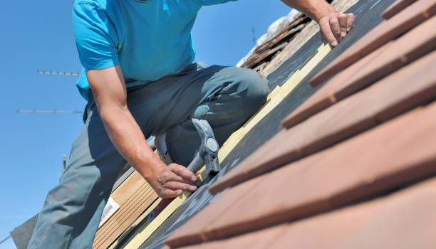 Roof Repair Eastern Suburbs image by Clearwash.com.au