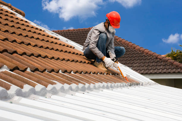 roof leak repair lower north shore image by clearwash.com.au