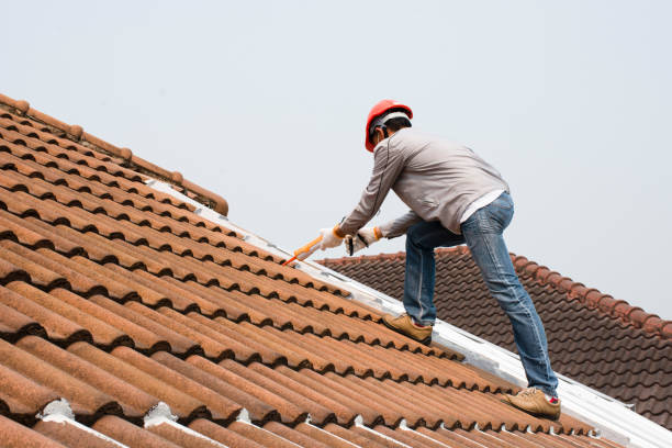 Roof repair services north shore image by Clearwash.com.au